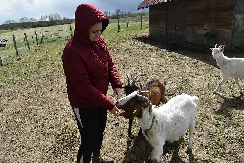 Kozí farma Úvalno je známá pod názvem Šťastné kozy. Chová je totiž rodina Kristýny Šťastné. Každý se může přesvědčit, že zvířata na farmě jsou opravdu šťastná.