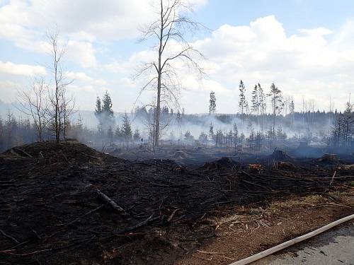 Čtvrteční požáry v přírodě zaměstnaly hasiče na Bruntálsku.