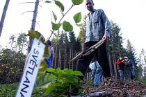 Svůj strom si přišli na oplocenou paseku zasadit také klienti krnovského střediska sociální rehabilitace Rút a pomáhali jim při tom pracovníci Slezské Diakonie.