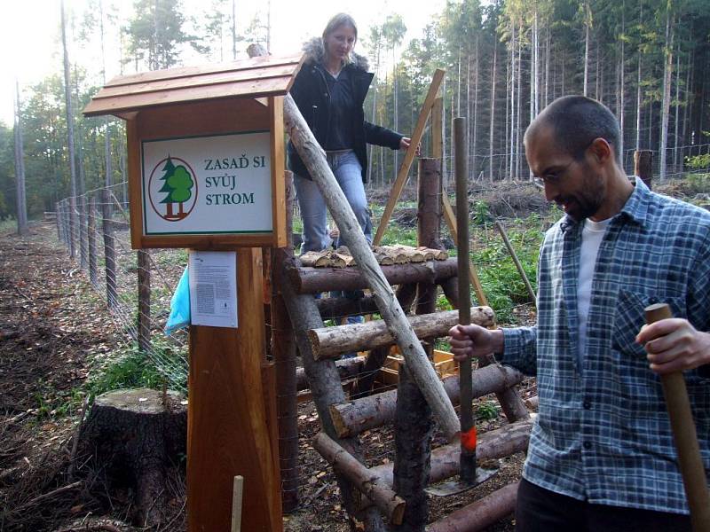 Svůj strom si přišli na oplocenou paseku zasadit také klienti krnovského střediska sociální rehabilitace Rút a pomáhali jim při tom pracovníci Slezské Diakonie.