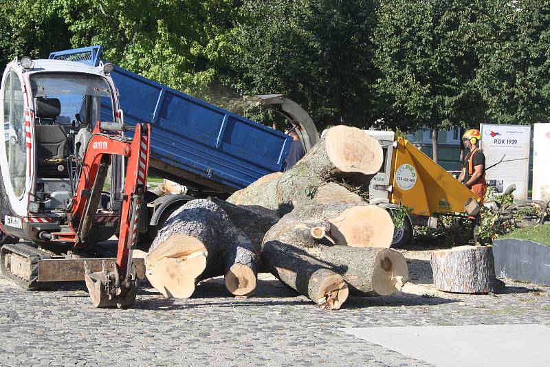 Mohutný javor mezi krnovskou poliklinikou a gymnáziem se podařilo pokácet až na druhý pokus. Ten první překazila porucha jeřábu.