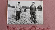 Obhlídka úrody a probíhající sklizně na polích okolo Leskovce nad Moravicí v roce 1974.
