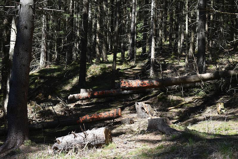 Udělejte si někdy výlet kolem náhonu, který přivádí vodu pro umělý vodopád v Karlově Studánce.