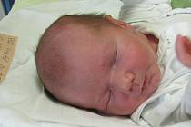 Jmenuji se KRYŠTOF SÝKORA, narodil jsem se 2. dubna 2017, při narození jsem vážil 3800 gramů a měřil 50 centimetrů. Moje maminka se jmenuje Denisa Sýkorová a můj tatínek se jmenuje Lukáš Sýkora. Bydlíme v Opavě. 