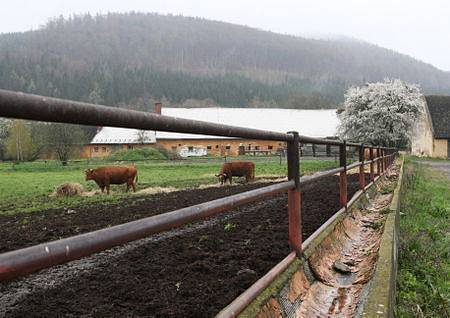 Připravovaná výstavba přehrady v obci zasáhne do života obyvatel čtyřiadvaceti rodin, také potrápí živnostníky.