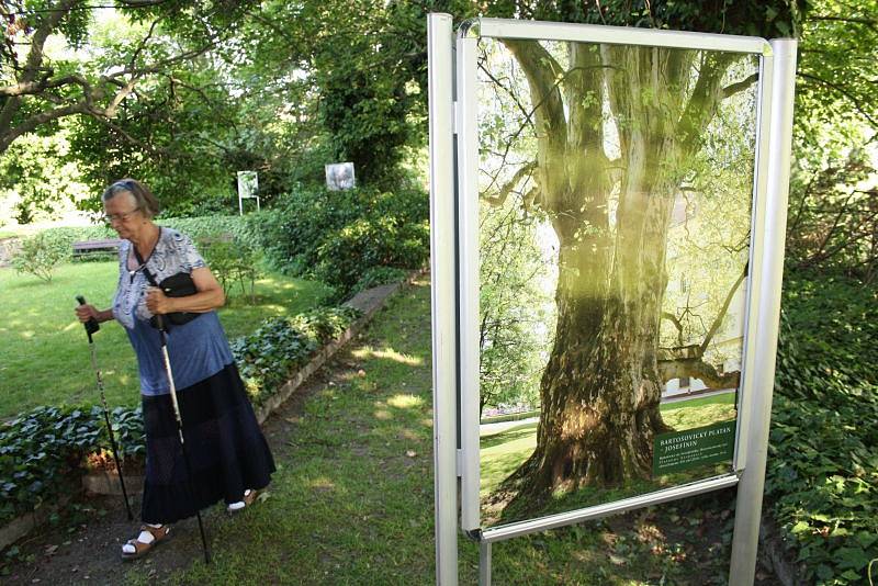 Výstava Nejmohutnější památné stromy ČR byla v Krnově instalována přímo do zahrady mezi stromy. Ukazuje staleté velikány na fotografiích Pavla Hössla a na kresbách zesnulého malíře Jaroslava Turka.