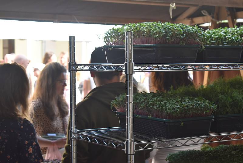 Centrum Krnova bylo plné lidí, kteří si užívali babího léta a vůně kávy.