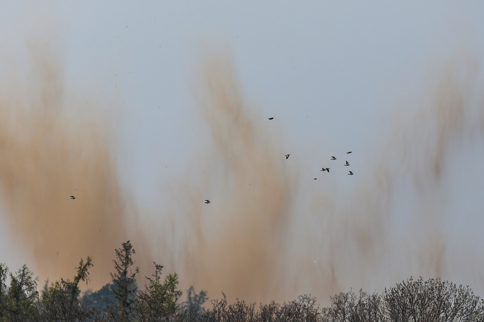 VIDEO: Výbuch v Jeseníkách. Pyrotechnici u Sosnové odpálili čtvrttunovou  pumu - Moravskoslezský deník