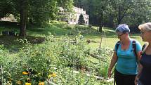 Český svaz ochránců přírody ČSOP Město Albrechtice popularizuje staré odrůdy a pořádá komentované prohlídky zahradnictví v  zámeckém parku v Hynčicích.