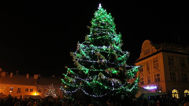 Rýmařovský vánoční strom byl pro letošní rok přivezen z městské části Janovice a měřil sedmnáct metrů.
