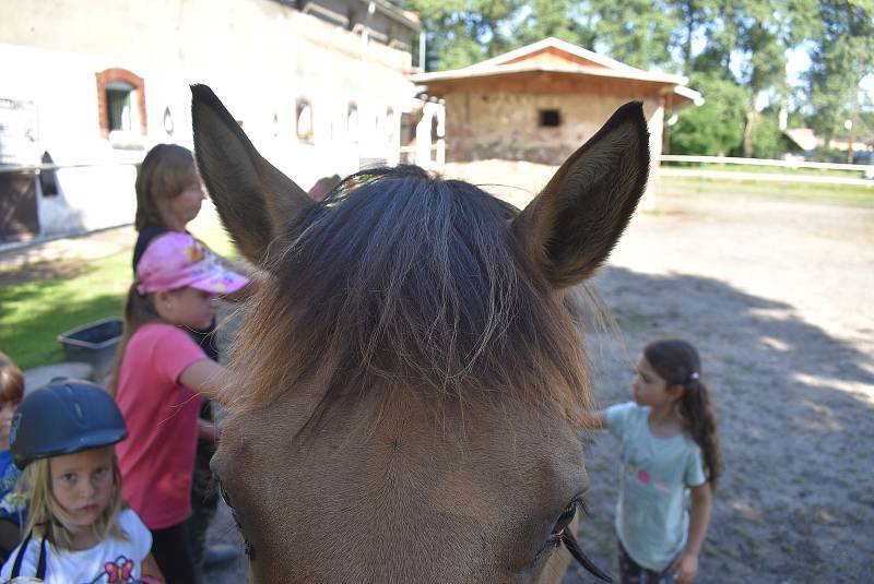 Mini farma Pavlíny Václavíkové je farma plná zvířat i dětí. Pořádá příměstské tábory ve spolupráci s Mikroregionem Osoblažsko a nabízí farmářské zážitky v rámci agroturistiky.