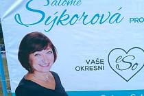 Salome Sýkorová se v senátních volbách ucházela o hlasy voličů na společné kandidátce Evropských demokratů (SNK-ED) a Strany Zelených (SZ).