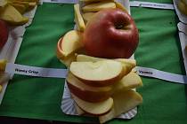 Krnovské slavnosti jablka provází pěstitelská výstava i ochutnávka moderních odrůd a světových novinek. Odrůdu Honeycrisp návštěvníci ochutnali poprvé v životě. Říjen 2023