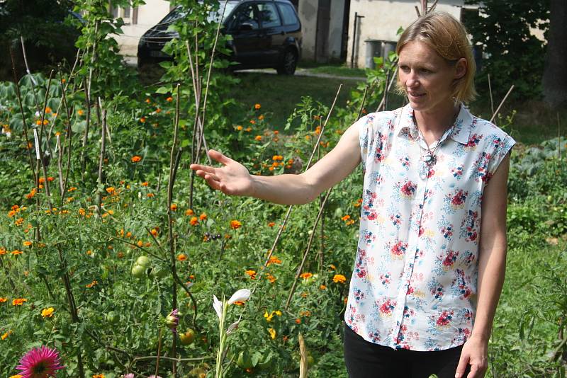 Český svaz ochránců přírody ČSOP Město Albrechtice popularizuje staré odrůdy a pořádá komentované prohlídky zahradnictví v  zámeckém parku v Hynčicích.