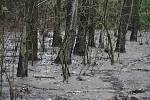 Třístupňová kaskáda bobřích hrází v Lužné byla přírodovědnou atrakcí Osoblažska. Po povodni z ní zbyly jen protržené hráze a rozbahněná plocha, která připomíná rozlohu zátopové oblasti.