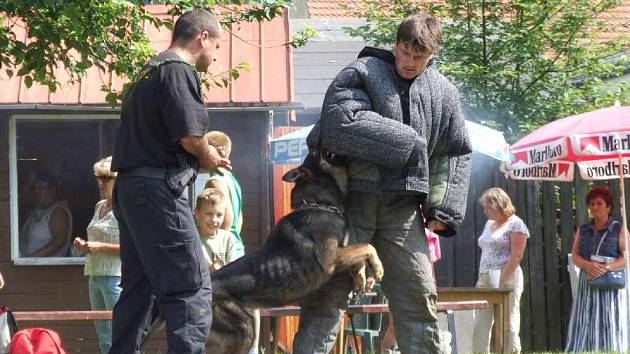 Bruntálští policisté se mohou pyšnit perfektním výcvikem psů.