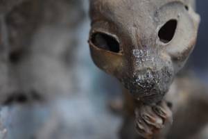 Mumie z půdy domu v Opavici na Krnovsku dostala jméno Čupakabra.