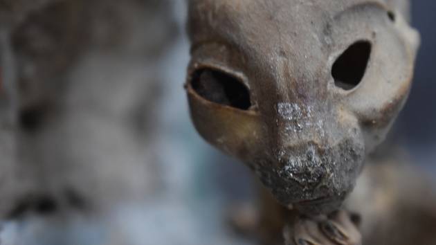 Mumie z půdy domu v Opavici na Krnovsku dostala jméno Čupakabra.