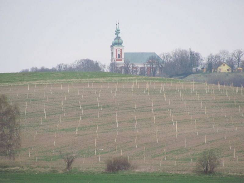 Ovocné sady díky dotacím v roce 2011 několikanásobně zvětšily původní rozlohu. Dotace právě skončily a sady rychle zase mizí. Zemědělci při zakládání i při mýcení sadů postupovali přesně  podle  pravidel dotačního programu a dodrželi všechny podmínky.