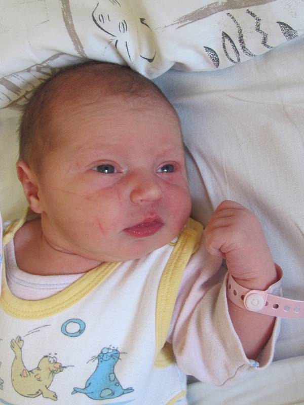 Jmenuji se BEÁTA HOLIŠOVÁ, narodila jsem se 5. Června 2019, při narození jsem vážila 4120 gramů a měřila 52 centimetrů. Krnov.