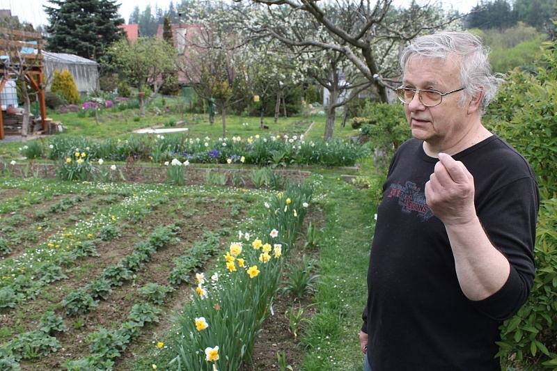 Pozemek Petra Masopusta v Mezině je balzámem pro duši i oči. Tolik odrůd, tvarů a barev člověk jinde jen těžko hledá.