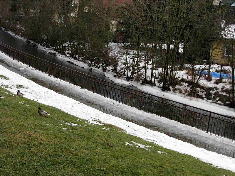 Neklidné spaní připravují lidem kačeny a kačeři usazení nastálo v Černém potoku a jeho okolí na sídlišti Květná v Bruntále. 