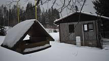 Chystáte se do Jeseníků, ale obáváte se přeplněných parkovišť? Zkuste si udělat zimní výlet do Andělské Hory na poutní místo Annaberg a na stejnojmennou sjezdovku.