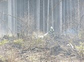 Vypalování trávy musí povinně hlásit hasičům organizace. Jednotlivcům pálícím listí a odpad hrozí pokuta při rozšíření ohně na požár.