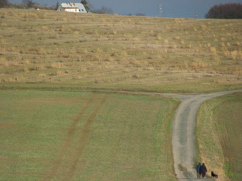 Ovocné sady díky dotacím v roce 2011 několikanásobně zvětšily původní rozlohu. Dotace právě skončily a sady rychle zase mizí. Zemědělci při zakládání i při mýcení sadů postupovali přesně  podle  pravidel dotačního programu a dodrželi všechny podmínky.