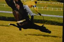 Ikonickou fotografii letícího koně a žokeje těsně před dopadem pořídila Marie Antonie Světláková mobilem v roce 2018. Bylo jí tehdy dvanáct let
