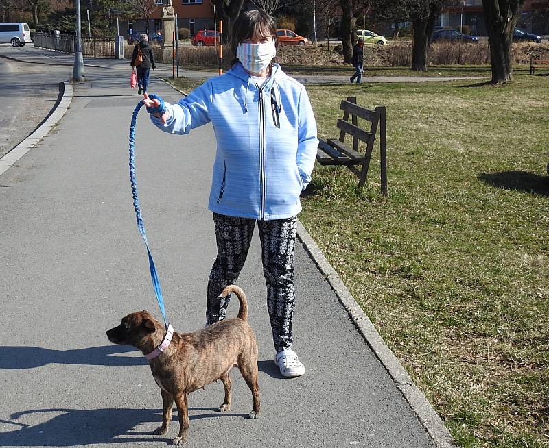 Majitelé psů při venčení díky koronavirovým opatřením mají dostatek podnětů k přemýšlení, jak se asi cítí pes s náhubkem.