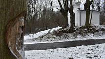 Tábořiště polských vojáků před pelhřimovskou kapličkou označuje tajemná tvář vyřezaná do stromu.