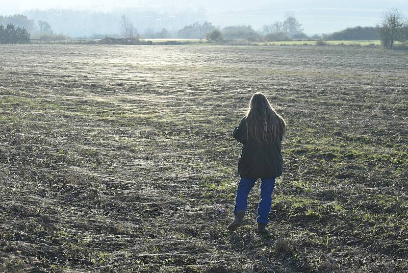 Pavouci plachetnatky jsou tak malí, že je pouhým okem téměř nevidíme. V období babího léta ale jejich vlákna nelze přehlédnout. Snímek zachycuje „babí léto“ na Osoblažsku.