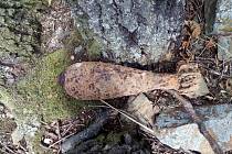 Dělostřelecké ráže 82 milimetrů na Osoblažsku patří k častým nálezům válečné munice. Místní zemědělci jim říkají „rybička“. Tyto jsou z obory u Dívčího Hradu.
