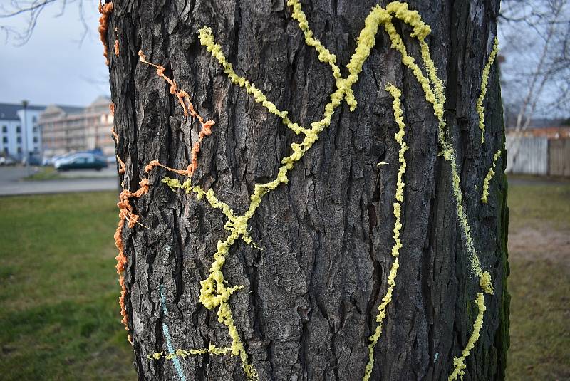 Kosočtverec na stromě u krnovského parkoviště vytvořil streetartový umělec reflexní pártypěnou, která v noci hezky svítí a navíc ji lze snadno odstranit z každého povrchu