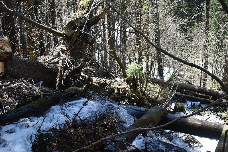 Udělejte si někdy výlet kolem náhonu, který přivádí vodu pro umělý vodopád v Karlově Studánce.