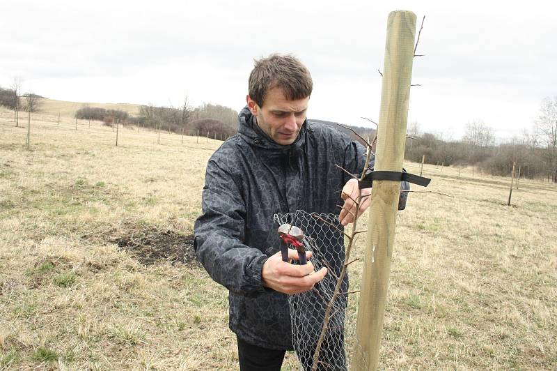 Znalec starých odrůd Radim Lokoč byl díky pomocníkům s roubováním brzy hotový.