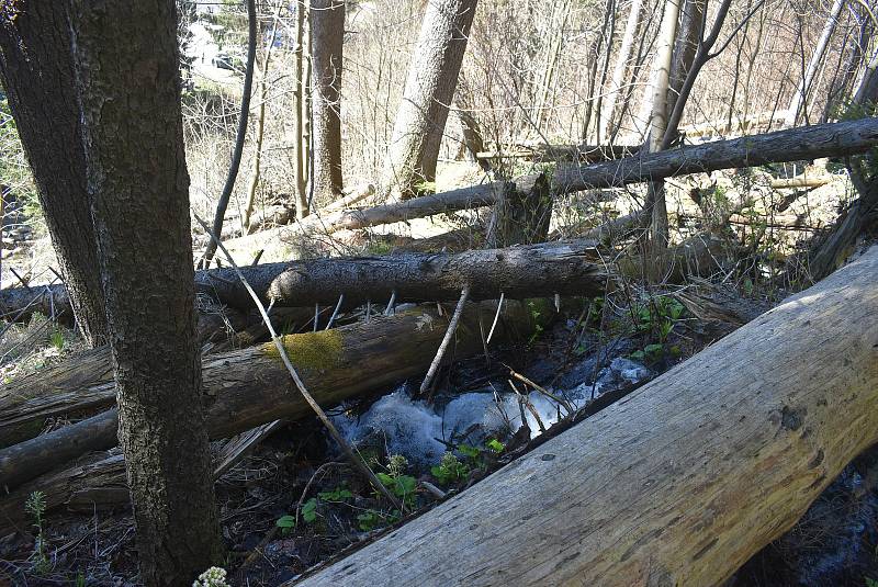 Udělejte si někdy výlet kolem náhonu, který přivádí vodu pro umělý vodopád v Karlově Studánce.