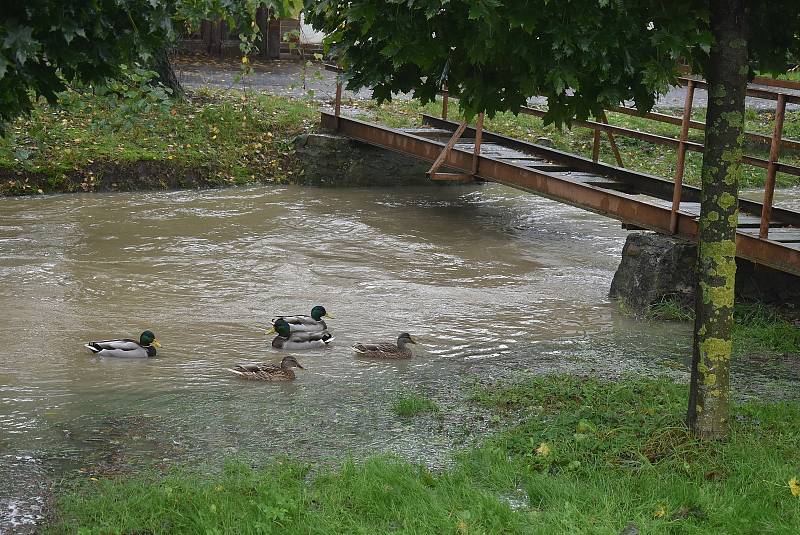 Situace na Osoblažsku je specifická tím, že se rozvodnila nejen řeka Osoblaha, ale i drobné potůčky a příkopy. Voda se valí po polních a  lesních cestách a vytváří laguny.