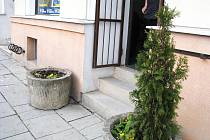 Pouze prázdný květináč zbyl po nájezdu neznámého vandala v Krnově. Tam, kde se tedy ještě před týdnem honosila krásná a zdravá tújka je nyní prázdno.