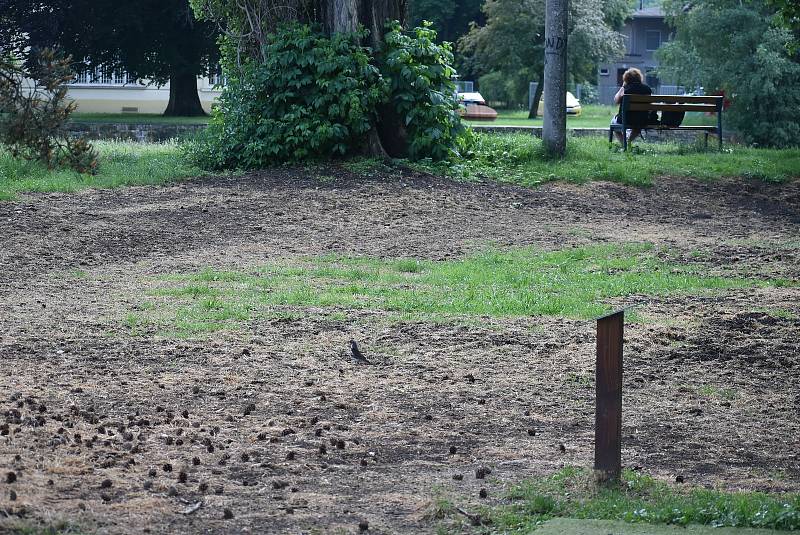 Festival Landscape hravou formou nabízí  Krnovanům zamyšlení nad městem a jeho funkcemi. Veřejné prostory oživily výstavy a umělecké instalace.