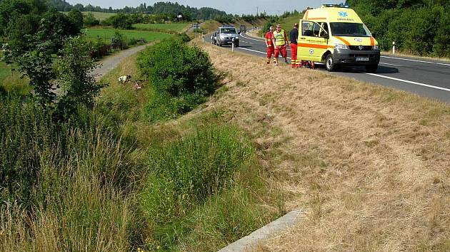 Nehoda se stala okolo 9 hodiny na silnici mezi Novými Heřminovy a Bruntálem. Podle dostupných informací sedmadvacetiletý muž na motorce autobus předjížděl přes plnou čáru, tedy v místě, kde je to zakázáno.