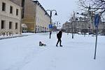 Na Krnovsku se vrátila sněhová pokrývka, 21. ledna 2023.