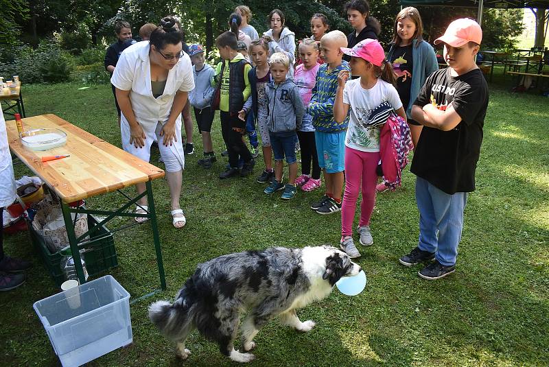 Zámecký park, Město Albrechtice 21. července: Kateřina Hrabalová o prázdninách nabízí dětem  zábavné pokusy a zážitky ze světa chemie a fyziky.