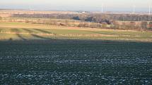 Na pozemcích v okolí polských Hlubčic hospodaří agroholding Top Farms Głubczyce.