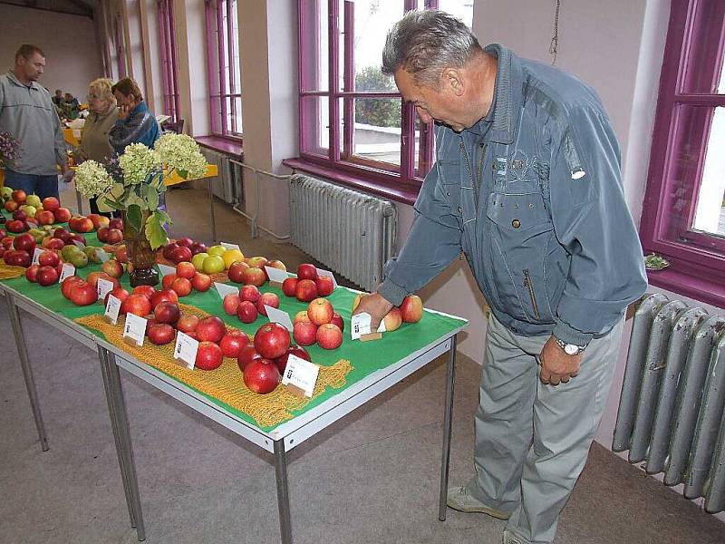 Výstava zahrádkářů.