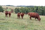 Farmář Jan Hořák z Janovic u Rýmařova získal ocenění nejlepší Sedlák PRO-BIO Svazu ekologických zemědělců.