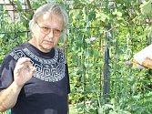 Petr Masopust ve skleníku s rostlinou s názvem ostropestřec mariánský, která je ideální pro pročištění lidských jater.