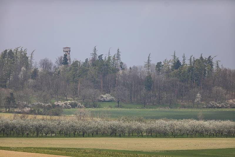 Odpal nevybuchlé letecké pumy z období druhé světové války v obci Sosnová na Opavsku. Nález si vyžádal uzavření a evakuaci obce, 1. května 2021.