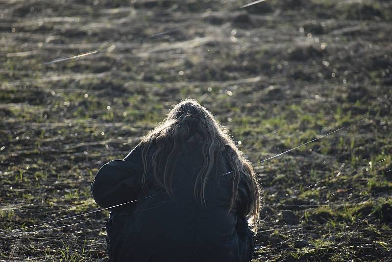 Pavouci plachetnatky jsou tak malí, že je pouhým okem téměř nevidíme. V období babího léta ale jejich vlákna nelze přehlédnout. Snímek zachycuje „babí léto“ na Osoblažsku.